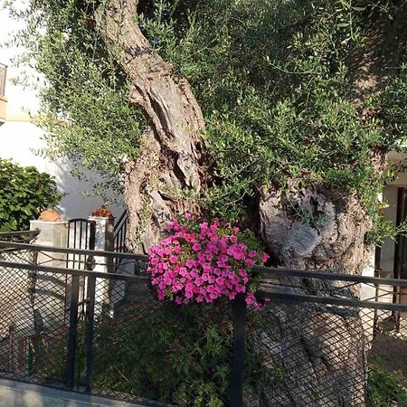 Aegean Balcony Villa Skála Kallirákhis Kültér fotó