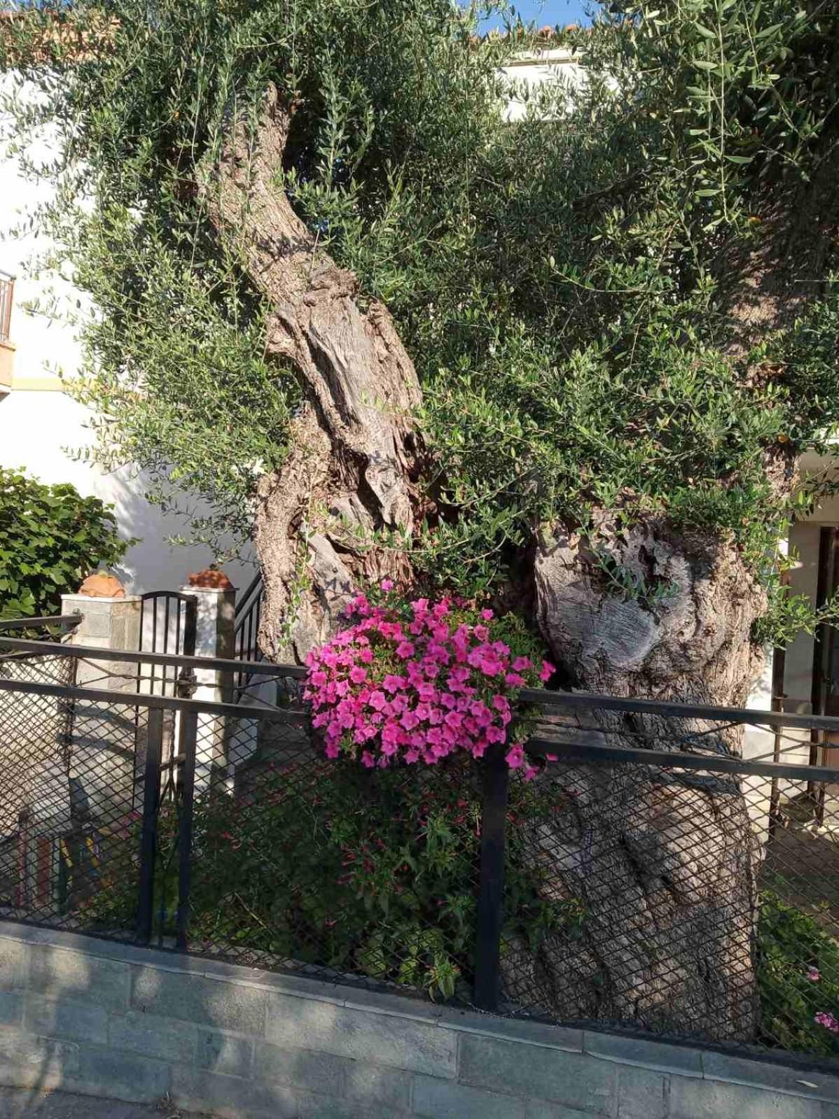 Aegean Balcony Villa Skála Kallirákhis Kültér fotó